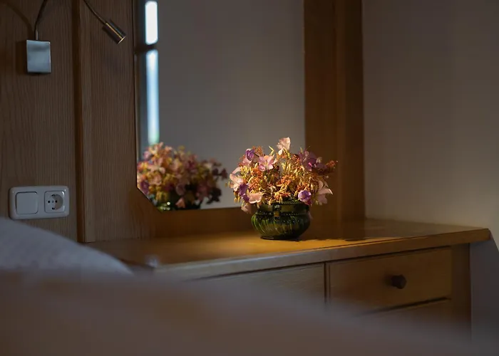 غيستهاوس فورديرجر 3*